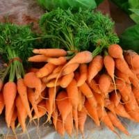 ราคา เมล็ดพันธุ์ แครอท เบบี้ แครอทจิ๋ว (Little Fingers Carrot Seed) บรรจุ 200 เมล็ด คุณภาพดี ของแท้ 100% (7554959880)