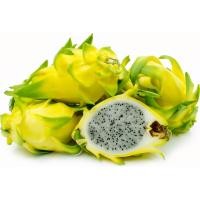 ราคา แก้วมังกรสีเหลือง อิสราเอล เมล็ด OP (Yellow dragon fruit from Israel OP) (1189078948)