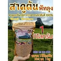 ราคา สาคูต้น เม็ดสาคู แป้งสาคูพัทลุง ขนาด 1 กิโลกรัม ออร์แกนนิคแท้ 100% (9559136542)