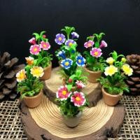 ราคา [พร้อมกระถาง] ดอกผีเสื้อดินปั้นจิ๋ว(Dianthus) ดอกไม้ดินปั้นจิ๋ว #ดอกไม้จิ๋ว #ดอกไม้ดินปั้น (27229198337)