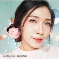 ราคา Lamune /florida /jasmine brown (545422860)