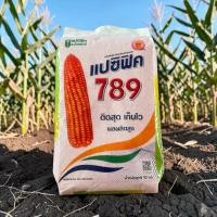 ราคา เมล็ดพันธุ์ข้าวโพดเลี้ยงสัตว์ แปซิฟิค 789 ขนาดบรรจุ ถุงละ 10 กิโลกรัม /10 Kg. (46460130950)