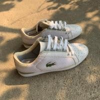 ราคา (used)รองเท้าผ้าใบมือสอง Lacoste Eur40 (แบรนด์แท้) (25554747875)