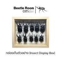 ราคา กล่องเก็บตัวอย่างแมลง(สั่งทำตามขนาดทักแชทมาได้เลยครับ) (49350222474)