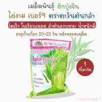 ราคา เมล็ดพันธุ์ผักบุ้งจีน ไผ่งามเบอร์9 ตราตะวันต้นกล้า ผักบุ้งทิวไผ่เรียว9 ปริมาณ 1 กิโลกรัม (13651665694)