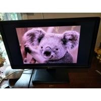 ราคา [ลด 80บ. โค้ด ENTH119]จอ Dell E2013H 20" Widescreen LCD Monitor  (2007403777)