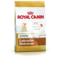 ราคา Royal canin labrador junior 12 kg (1424760394)