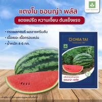 ราคา 40กรัม/ซอง ซอนญ่า พลัส เมล็ดพันธุ์แตงโม เจียไต๋ ซอนย่า พลัส แตงโมซอนญ่าพลัส (5510267332)