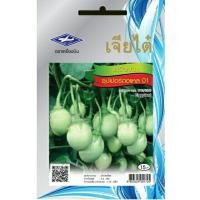 ราคา เมล็ดมะเขือเปราะ ซุปเปอร์ตอแหล 01 เมล็ดพันธุ์ผักเจียไต๋ มะเขือเปราะ (2906401542)