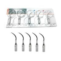 ราคา 5 ชิ้นทันตกรรมอัลตราโซนิก scaler เคล็ดลับ endodontics (24388459742)