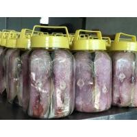 ราคา ปลาอินทรีย์เค็มในน้ำมันพืช สินค้าพร้อมส่ง (8053513417)