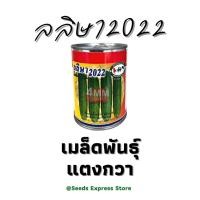 ราคา เมล็ดพันธุ์แตงร้าน เมล็ดพันธุ์ แตงร้าน แตงร้านลลิษา2022 ขนาด 1800เมล็ด กระป๋องเล็ก (45306081760)