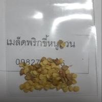 ราคา เมล็ดพันธุ์พริกขี้หนูสวน 100 เมล็ด 30 บาท (7542301452)
