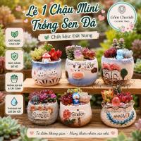 ราคา กระถางไม้อวบน้ําจิ๋ว (5-7ซม.) กระถางดินเผาใส่ไม้ประดับลิงค์2 (56010685807)