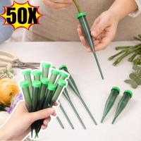 ราคา [24ชม. จัดส่งออก] 50ชิ้นนํามาใช้ใหม่โปร่งใสดอกไม้น้ําหลอด,เหมาะสําหรับนักดอกไม้,ชาวสวนและ ทําเอง การจัดดอกไม้แต่งงาน /ขายส (57461980582)