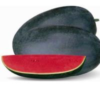 ราคา เมล็ดพันธุ์ แตงโมดำ บรรจุ 10เมล็ด Giant Black Beauty Watermelon Seeds for Planting Water Melon Fruit Seeds เมล็ดแตงโม (56212788721)