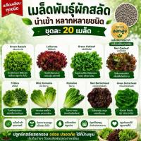 ราคา เมล็ดผักสลัด 20 บาท 10 ชนิด เมล็ดเคลือบ พันธุ์แท้ คุ้มสุดๆ (9211971924)