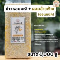 ราคา Mommaem Family ข้าวหอมมะลิผสมข้าวฟ่างออแกนิค 1000 G สำหรับเด็ก 6 เดือนขึ้นไป (43772293306)