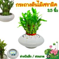 ราคา [3.5นิ้ว] กระถางต้นไม้ อ่างบัว เซรามิค สีขาว อ่าง ใส่น้ำ อ่างบัวจิ๋ว สวนถาด บรรจุ1ใบ (14360961907)