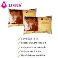 ราคา LOTUS หมอนหนุน ใยสังเคราะห์พิเศษ (แพ็คคู่ 2 ใบ) ขนาด 19 x 29 นิ้ว (1747749368)