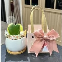 ราคา เซ็ตของขวัญ Valentine Day กระถาง 3.5 นิ้ว+ถาดรองไม้ + เม็ดดินเผา + ตุ๊กตา2ตัว+การ์ด+โบว์+ถุง Minitree89 ไม้มงคล (27975612647)