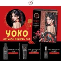 ราคา มีนะคะ โยโก๊ะ ชุดแชมพูยาจีน (1เซต มี 3ชิ้น) YOKO Chinese Herbal Set (42262470047)