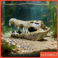 ราคา [Szlztmy2] ปลาซ่อนเรซิ่นพรีเมี่ยมกะโหลกตกแต่งที่ไม่ซ้ํากันสําหรับพิพิธภัณฑ์สัตว์น้ําที่มีอุปกรณ์เสริมและพิพิธภัณฑ์สัตว์น้ําขนาดเล็กสําหรับปลา (57310186098)