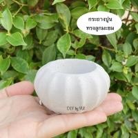 ราคา กระถางปูน กระถางแคคตัส กระถางปูนเปลือย (5575517943)