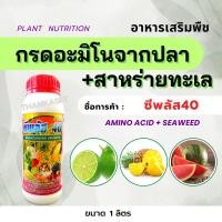 ราคา กรดอะมิโนพืช +สาหร่าย สกัดจากทะเล รวม 40% อะมิโน ขนาด 1 ลิตร amino acid (14781212478)