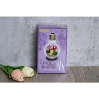 ราคา Moomin Light Bulb Terrarium (8691750296)