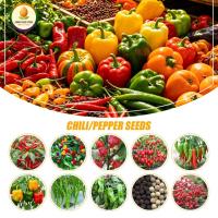 ราคา คุณภาพดี เมล็ดพันธุ์ผัก/พริก/พริกหวาน/พริกหม่าล่า/พริกไทยVegetable/chili/pepper seeds (44761669803)