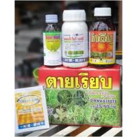 ราคา ตายเรียบ ยาฆ่าหญ้าในนาข้าว รัวข้าว ขายดีอันดับ1 ต้นตำหรับยาฆ่าหญ้าในนาข้าว (29921279308)