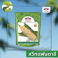 ราคา สวีทแฟนตาซี เมล็ดพันธุ์ ข้าวโพดข้าวเหนียว ลูกผสม ตราศรแดง ฝักใหญ่ เหนียว นุ่ม หวาน (19826973345)