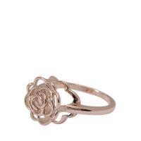 ราคา Aldo รุ่น Larosae แหวน- สี Rose Gold (24646805973)
