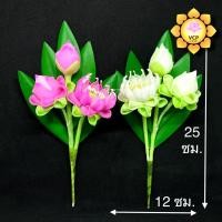 ราคา ช่อดอกบัว (ช่อคู่) ตูมแย้มบาน 3 ดอก (ดินญี่ปุ่น) (17945353278)