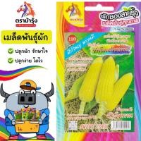 ราคา ขายปลีก เมล็ดพันธุ์ ผัก *แพ็ค5ซอง*ตราม้ารุ้ง Z110 ข้าวโพดสวีทหวาน ม้ารุ้งหวาน เมล็ดพันธุ์ เมล็ดผัก ผักซอง ม้ารุ้ง ผักสวน (41425785700)