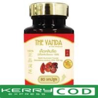 ราคา เห็ดหลินจือTHE VANDA (1246804013)