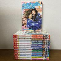 ราคา [MANGA] เมื่อความรักมาทักทาย 1-15 เล่มจบ (มือสอง) ... Minami Kanan มังงะ การ์ตูน บงกช (2194548003)