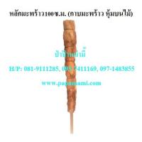ราคา (3อัน) หลักมะพร้าว ยาว 100ซม. หลักไม้เลื้อยกาบมะพร้าว เสาไม้เลื้อย เสาต้นไม้ หลักมะพร้าว หลักกาบมะพร้าว หลักไม้เลื้อยมะพ (15645628134)