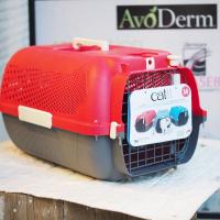 ราคา กล่องใส่น้องหมา/น้องแมว (Cats/Dogs Carrier) (1144305452)