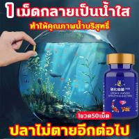ราคา น้ำยาปรับสภาพน้ำ จุลินทรีบ่อปลา จุลินทรีย์ปรับสภาพน้ำใส กรองบ่อปลา น้ําใส ยาปลา ล้างตู้ปลา (28219560321)
