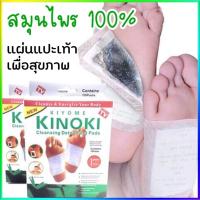 ราคา Queen แผ่นแปะเท้า ของเเท้100% KINOKI คิโนกิ แผ่นแปะเท้าดูดสารพิษ แผ่นเเปะเท้าเพื่อสุขภาพ แผ่นแปะเท้าสมุนไพร MY7 (11434924142)
