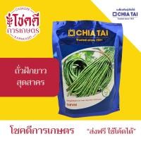 ราคา ถั่วฝักยาว สุดสาคร เมล็ดพันธุ์ ถั่ว ฝักยาว ถั่วเนื้อ เมล็ดถั่วฝักยาว ตรา เจียไต๋ บรรจุ 500/100 กรัม (40126097756)