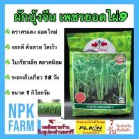 ราคา ศรแดง ผักบุ้งจีน เพชรยอดไผ่9 ขนาด 1 กิโลกรัม หมดอายุ 27/11/2569 ผักบุ้ง เมล็ดเคลือบ ไม่ต้องแช่ (44007127729)