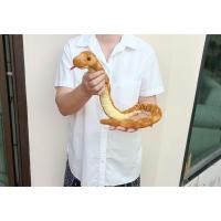 ราคา ตุ๊กตางู ขนนุ่ม Ty SLITHERY The Snake ขนาด 30 นิ้ว ป้าย Ty ( ป้ายจาง ) (29873122186)