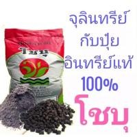 ราคา ปุ๋ยอินทรีย์คุณภาพสูง (1 kg.) ตรา โชบุ (11824338037)