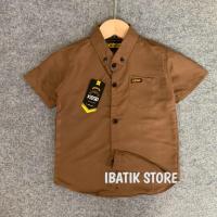 ราคา แคทน์ เคมีจา เสื้อแขนสั้นสีมะฮอกกานี สําหรับเด็ก อายุ 1-14 ปี เนื้อผ้าฝ้าย อ็อกซ์ฟอร์ด - เสื้อเด็กชาย - เสื้อเด็กชาย - เสื้อเด็ก | เสื้อท็อปเสื้อแขนสั้น สีน้ําตาล สําหรับเด็ก อายุ 1 2 3 4 5 6 7 8 9 10