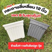 ราคา กระถางสี่เหลี่ยม 12 นิ้ว เซ็ต 6 ใบ กระถางกุหลาบ กระถางโรมัน พร้อมส่ง (19245463925)