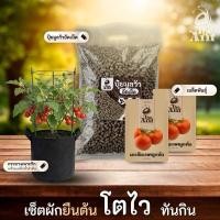 ราคา (ซื้อ1แถม1) ชุดปลูกมะเขือเทศลูกท้อ พร้อมเมล็ดพันธุ์ออร์แกนิค เมล็ดพันธุ์หายาก สวนผัก ปุ๋ยมูลวัวอัดเม็ด กระถางปลูกผัก (46506779643)