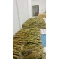 ราคา ดอกหญ้าไม้กวาด ดอกแขม 1 Kg ดอกหญ้า (26809245675)